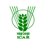 Untitled design - 2026-01-31T095334.142